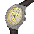 Часы Swatch Chrono 42 Standard SUSM100 фото 2
