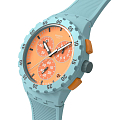 Часы Swatch Chrono 42 Standard SUSL401 фото 2