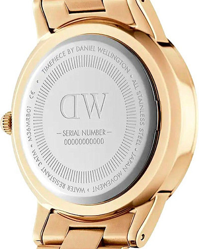 Daniel Wellington Iconic Link DW00100566